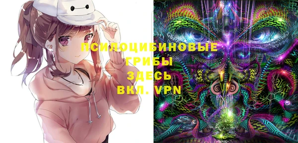 первитин Балахна