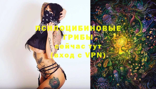 первитин Балахна