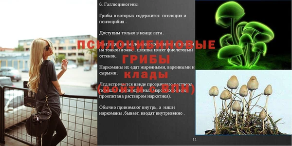 ALPHA PVP Баксан