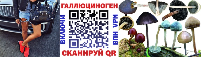 Галлюциногенные грибы GOLDEN TEACHER Городище